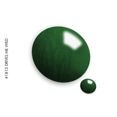 1813 Drives Me Wild -HTF
