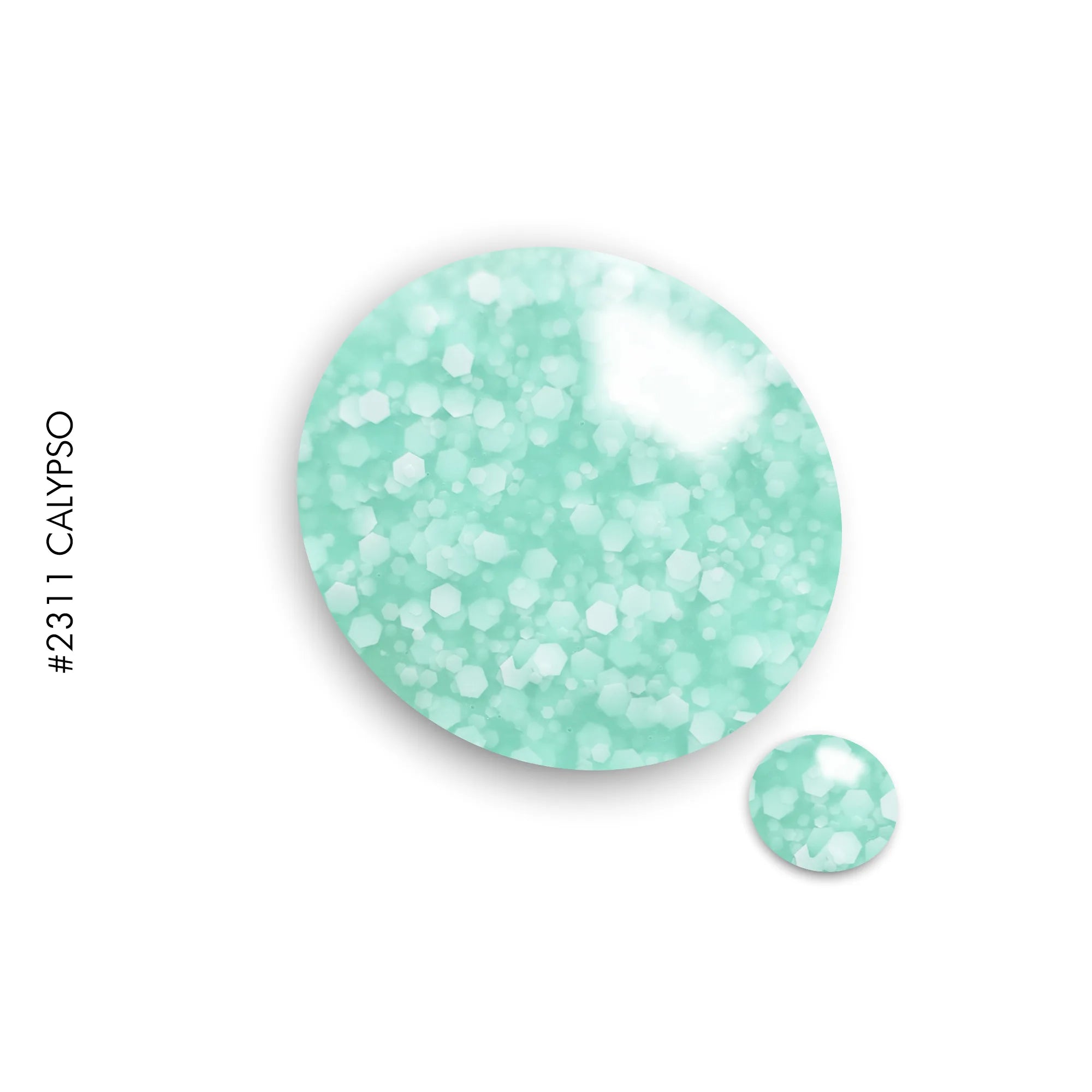 2311 Calypso -HTF